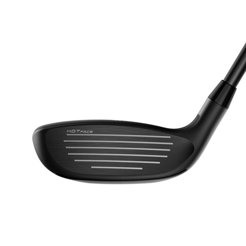 Hybride Cobra LTDx DEMO