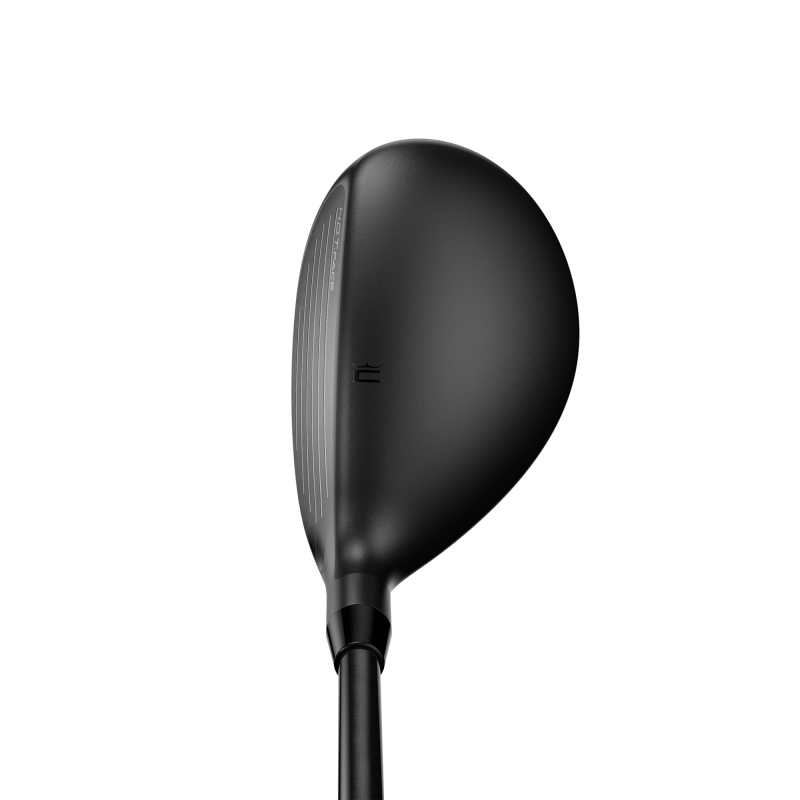 Hybride Cobra DarkSpeed DEMO