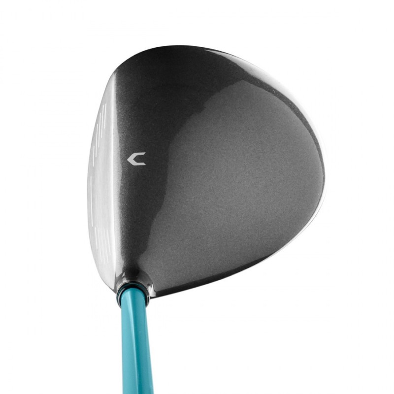Bois Wilson D300 Lady