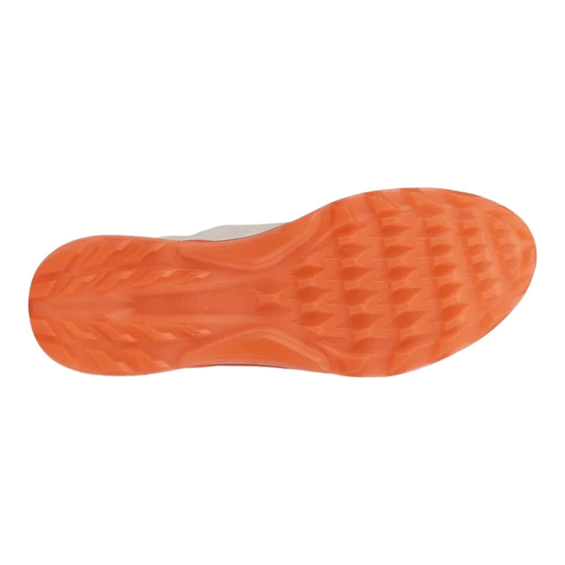 Chaussures de gof Ecco Biom C4 Lady