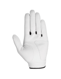 Gant Callaway Syntech homme