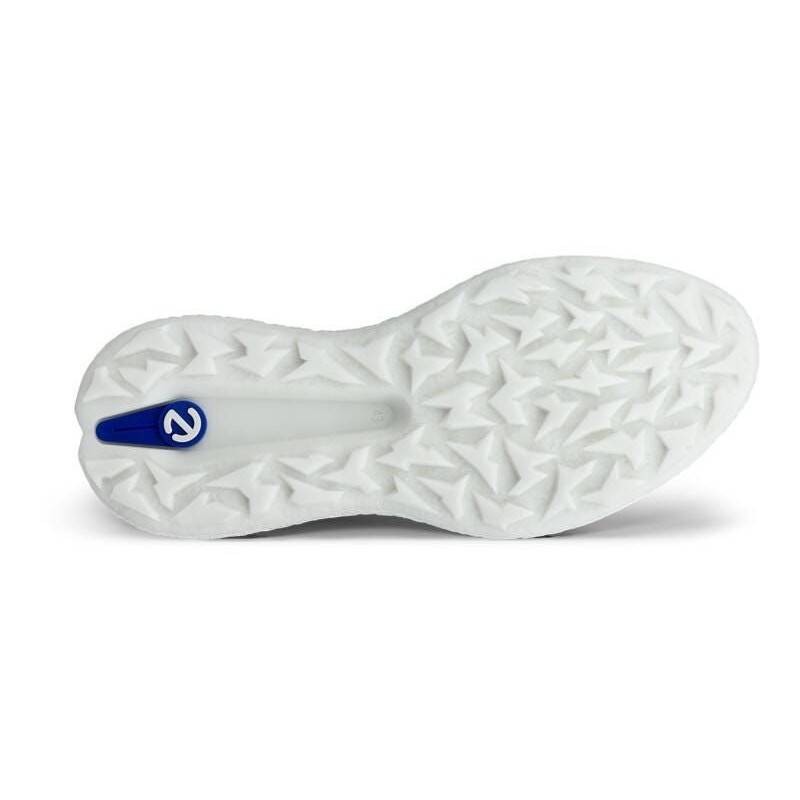 Chaussures de golf ECCO BIOM H5 – Confort, Stabilité et Performance sur le Parcours