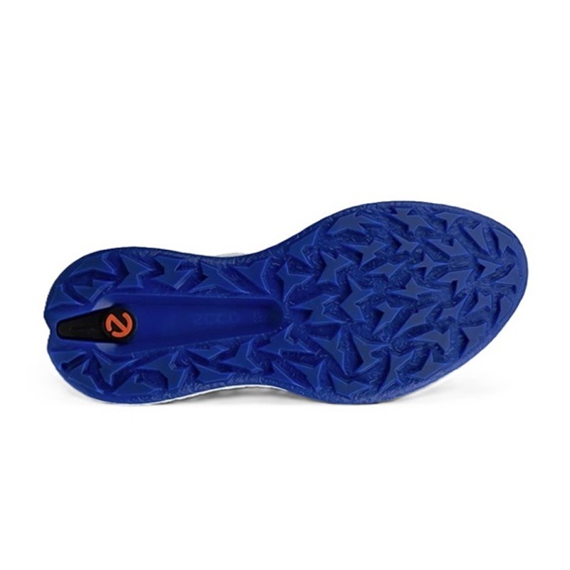 Chaussures de golf ECCO Biom H5 BOA | Confort & Stabilité