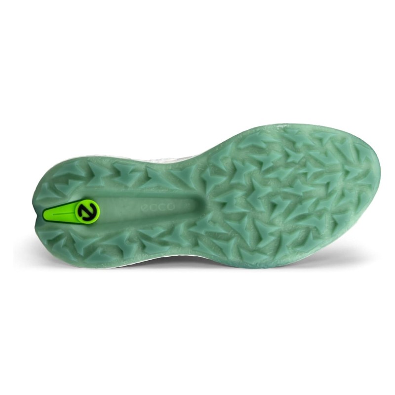 Chaussures de golf ECCO Biom H5 Hybrid BOA | Stabilité