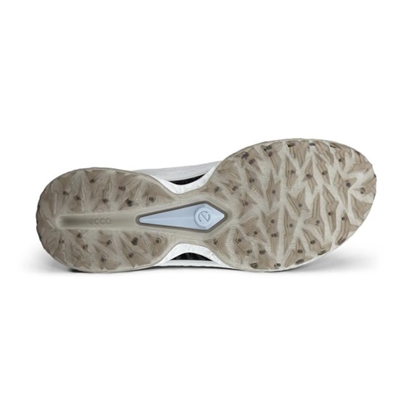 Chaussures de golf ECCO BIOM C5 BOA | Confort & Performance