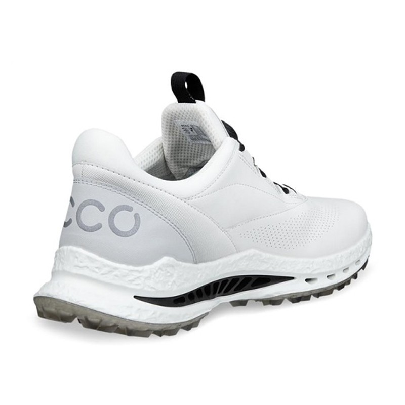 Chaussures de golf ECCO BIOM C5 BOA | Confort & Performance