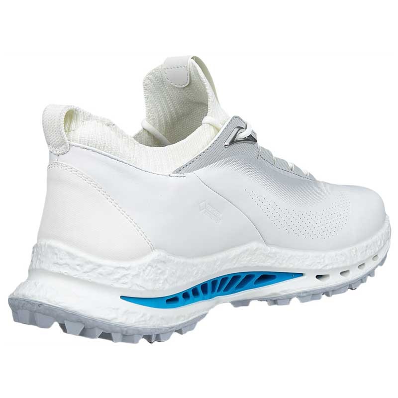 Chaussures Golf Homme ECCO Biom C5 - GORE-TEX 100% Imperméable