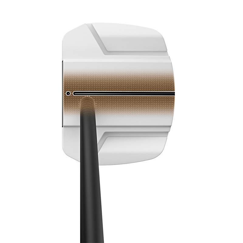 Putter PING Scottsdale TEC Ally Blue Onset | Alignement & Tolérance