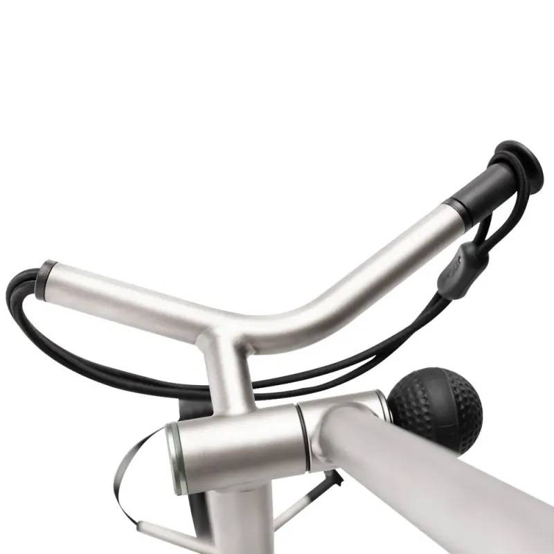Chariot électrique TiCad Forte | Titane haut de gamme