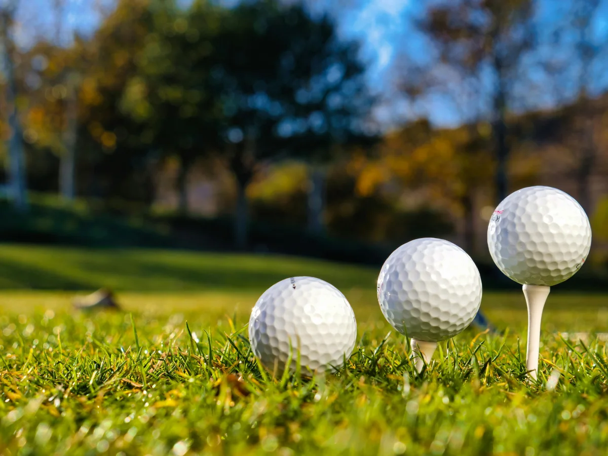 Balles de golf La Route du Golf