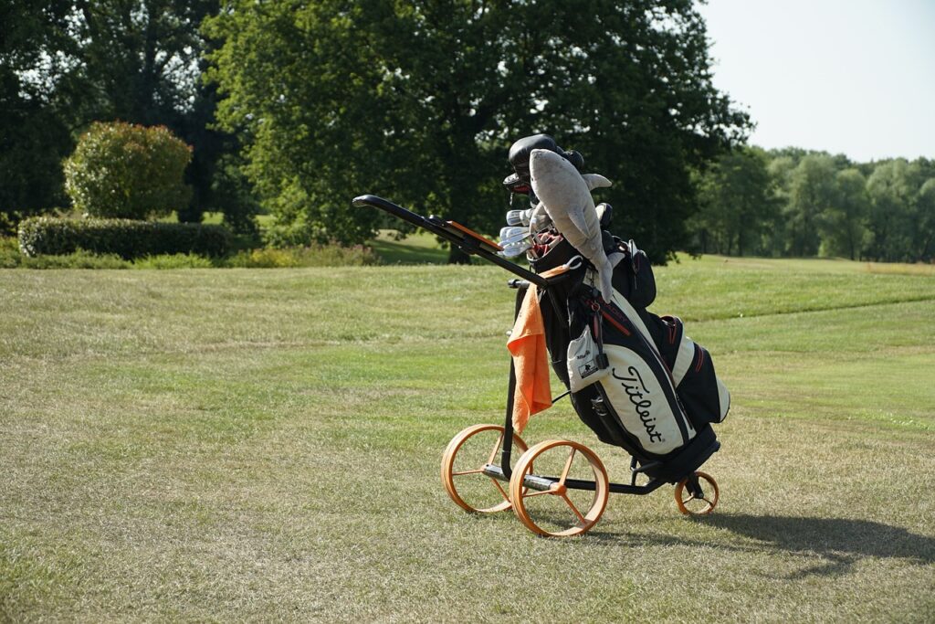Comment choisir un chariot de golf ?
